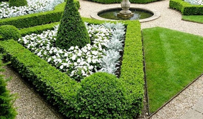 plants to leave behind well manicured garden