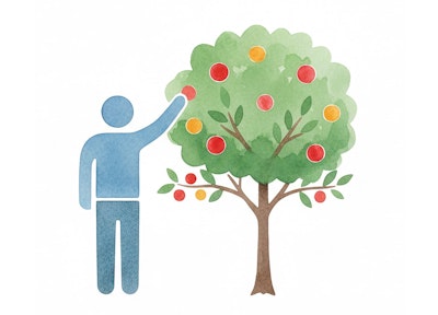 person with arm up touching the fruit on a fruit tree illustrator image