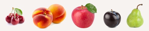 cherries, peaches, apple, plum and pear in a row on white