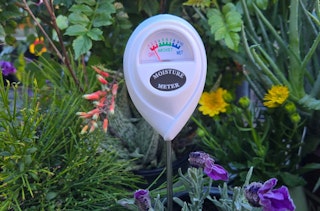 SummerWinds Nursery's Moisture Meter surrounded by a variety of plants.