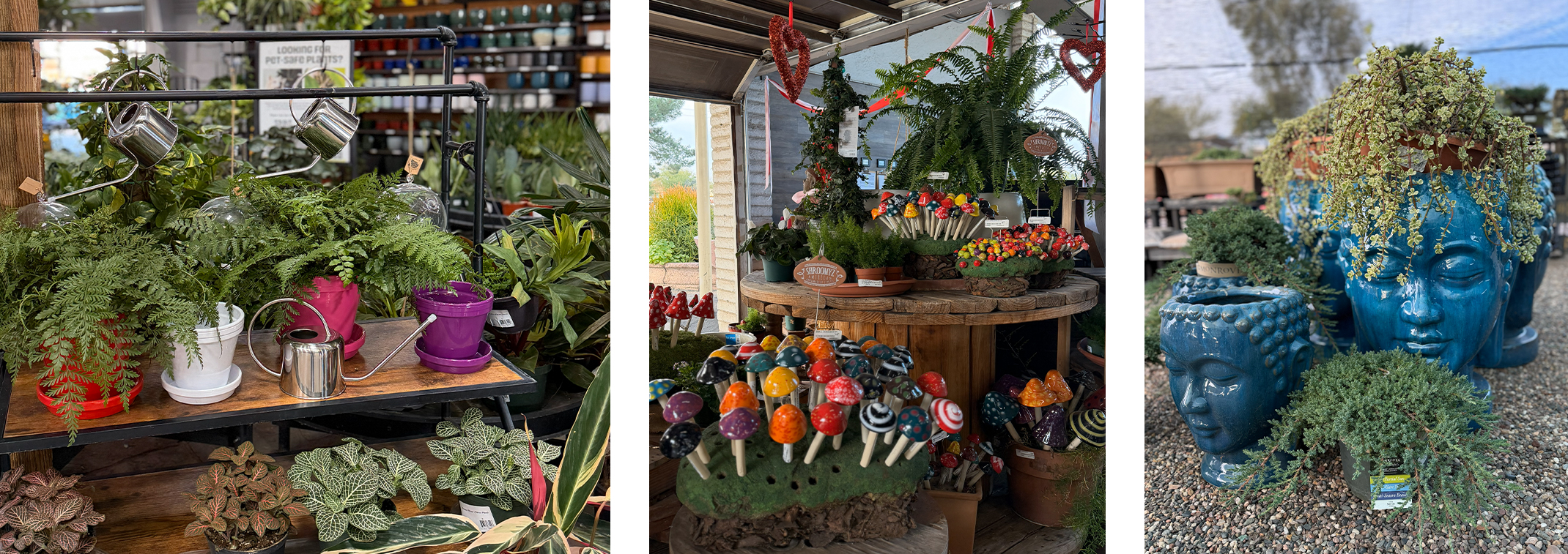 4 images - birdbaths, hoya heart and African violets; shattered glass rain chain; and string of bananas succulents