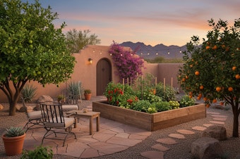A Southwest backyard with an adobe wall with an arch and wooden door, fruit trees, a seated area, and a raised bed vegetable garden, with stone paths and mulch.