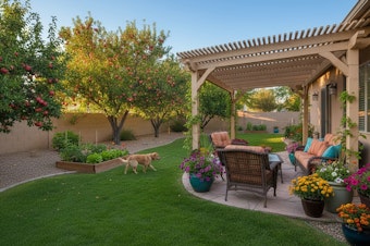 A Southwest backyard with a covered seating area, potted flowers, a dog on a lawn, a raised vegetable garden, and fruit trees.