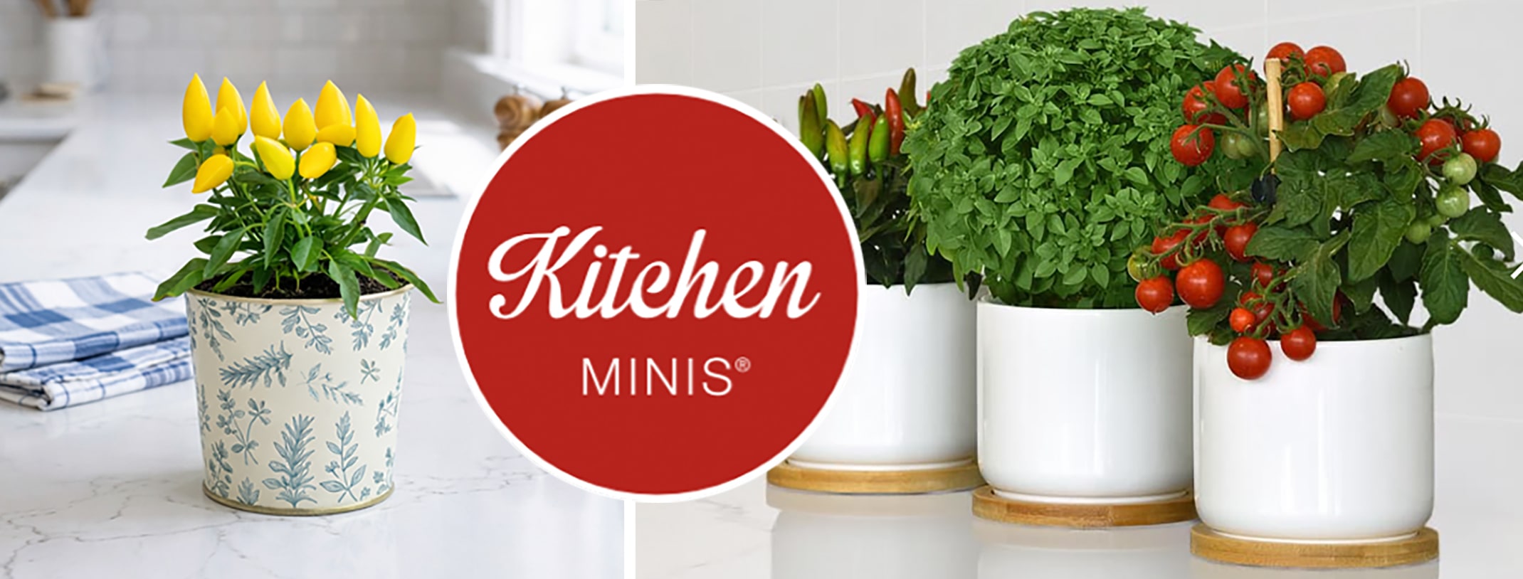 Kitchen Minis&reg; logo in front of two images showing small table top peppers, tomatoes, basil in containers.