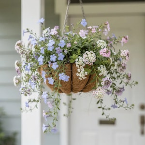 Spring pastel dream hanging basket.