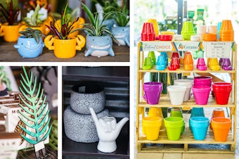 Four images: a wooden houseplant accessory to help plants grow tall, marine-themed small pots, black and white lace-designed pots, a hang-lose hand pot, and a variety of colorful ceramic pots of varying sizes.