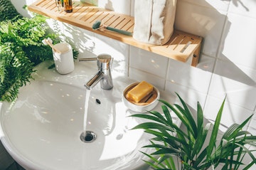 A closeup of a biophilic bathroom sink and shelf with a couple of plants, and bathroom accessories.