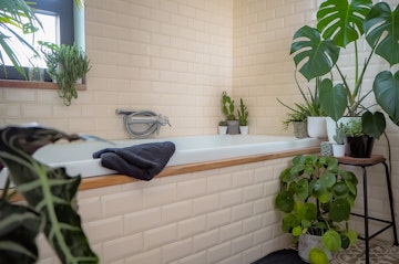 A closeup of a bathtub in a biophilic bathroom with numerous plants, a bench and a towel.