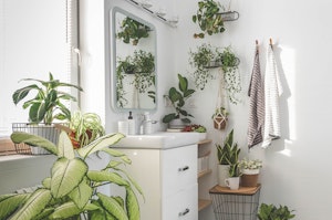 A biophilic bathroom sink and window with over at least a dozen houseplants.