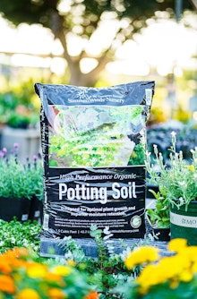 SummerWinds Nursery High Performance Organic Potting Soil surrounded by bedding flowers at SummerWinds.