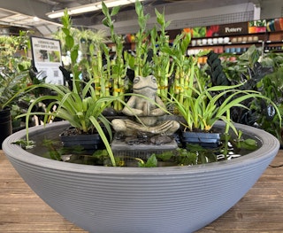A Crescent water garden container filled with aquatic plants and a Zen frog statue on display at SummerWinds.