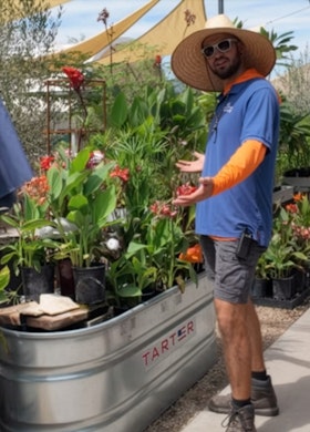 Justin at SummerWinds Nursery wearing a wide-brimmed hat, cooling neck scarf, sunglasses and long sleeves for sun protection. Showing aquatic plant display.