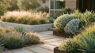 Waterwise featured as curb appeal at a home in the bay area.