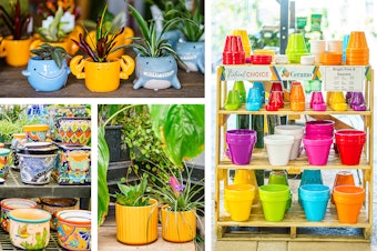 A variety of colorful pots from SummerWinds Nursery.