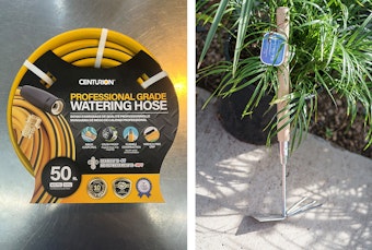A 50 ft. Centurion Hose, and a long-handled SummerWinds rake/hoe combination tool with a fern in the background.
