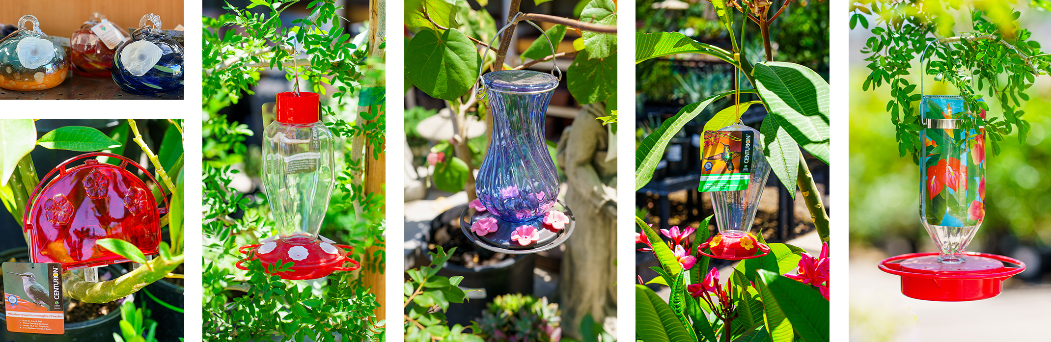 Photos of six different types of hummingbird feeders on display at SummerWinds Nursery.