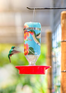 A hummingbird flying toward a colorful hummingbird feeder on display at SummerWinds.