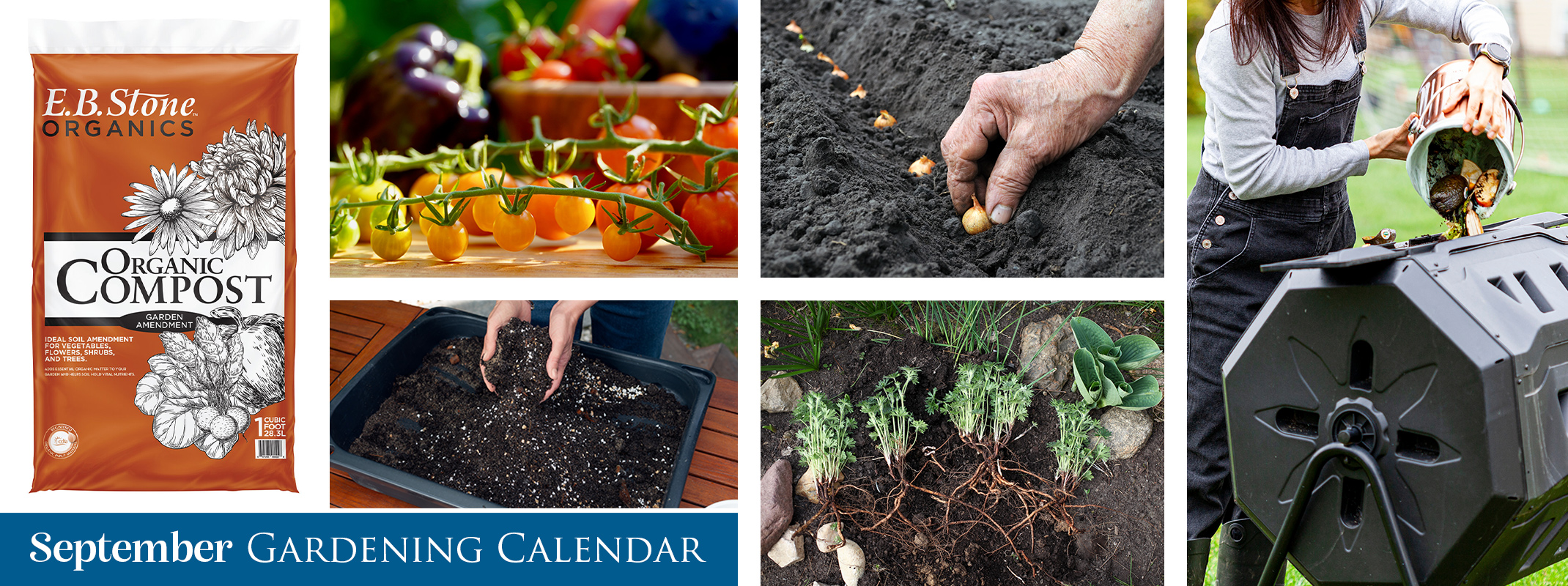 September gardening calendar banner