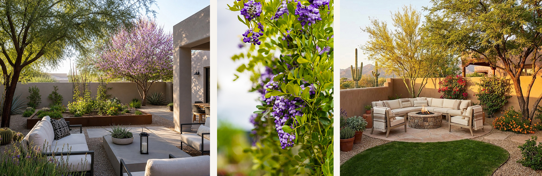 Two photos of Southwest backyard patios with seating, trees, and flowering shrubs. One with a raised garden bed. In between the photos is a closeup of Texas Mountain Laurel purple blooms.