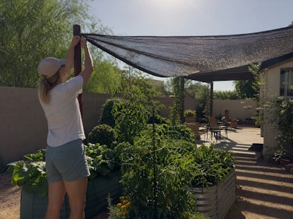 A woman hanging shade cloth above her raised garden bed in her Southwest backyard.