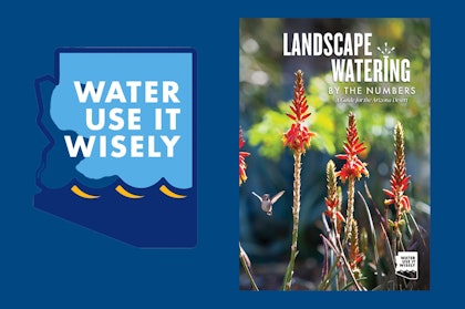 The Water Use It Wisely logo and a snapshot of the cover of the Landscape Watering by the Numbers booklet.