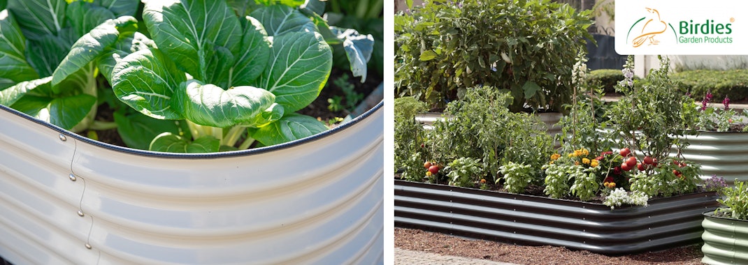 3 pictures of Birdies metal raised garden beds planted in the garden.