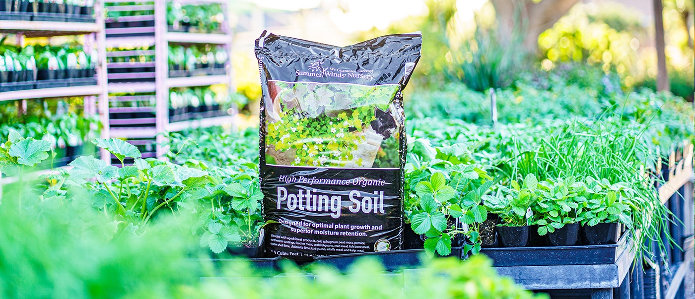 SummerWinds Nursery High Performance Organic Potting Soil surrounded by edible plants at SummerWinds.