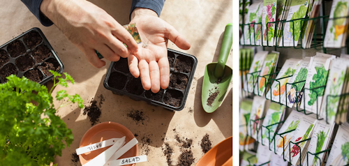 Seed Starting Supplies, and Botanical Interest Seeds