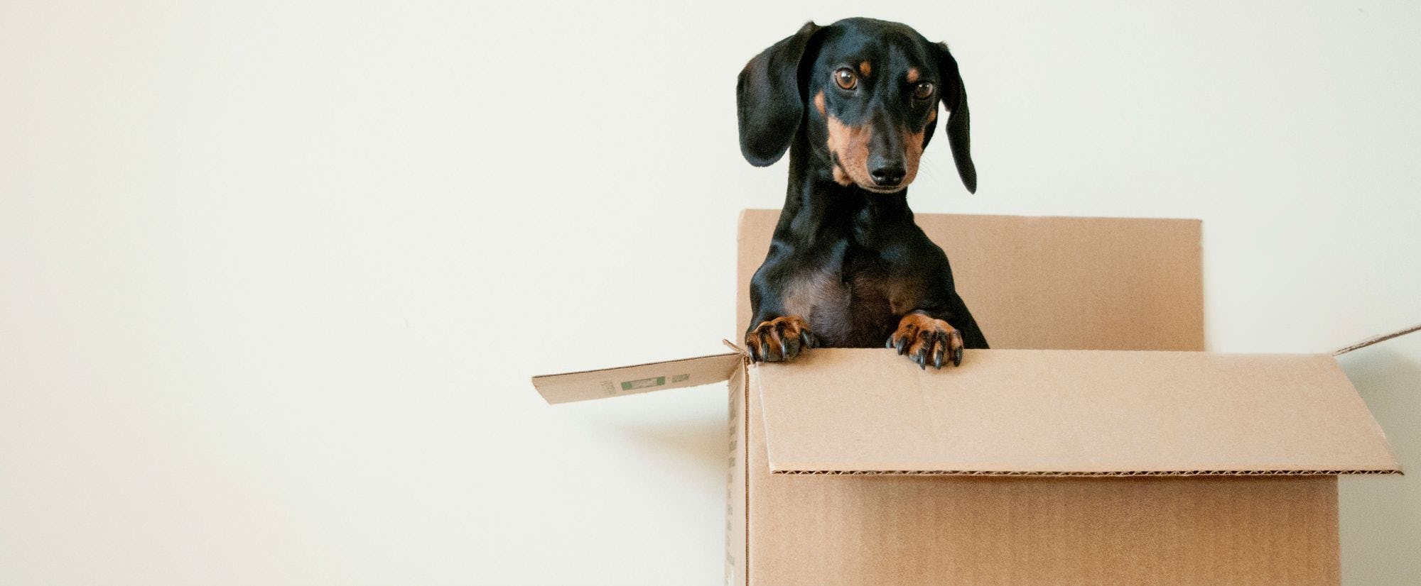 Should you renovate if you’ve got moving on your mind? Should you renovate if you’ve got moving on your mind?