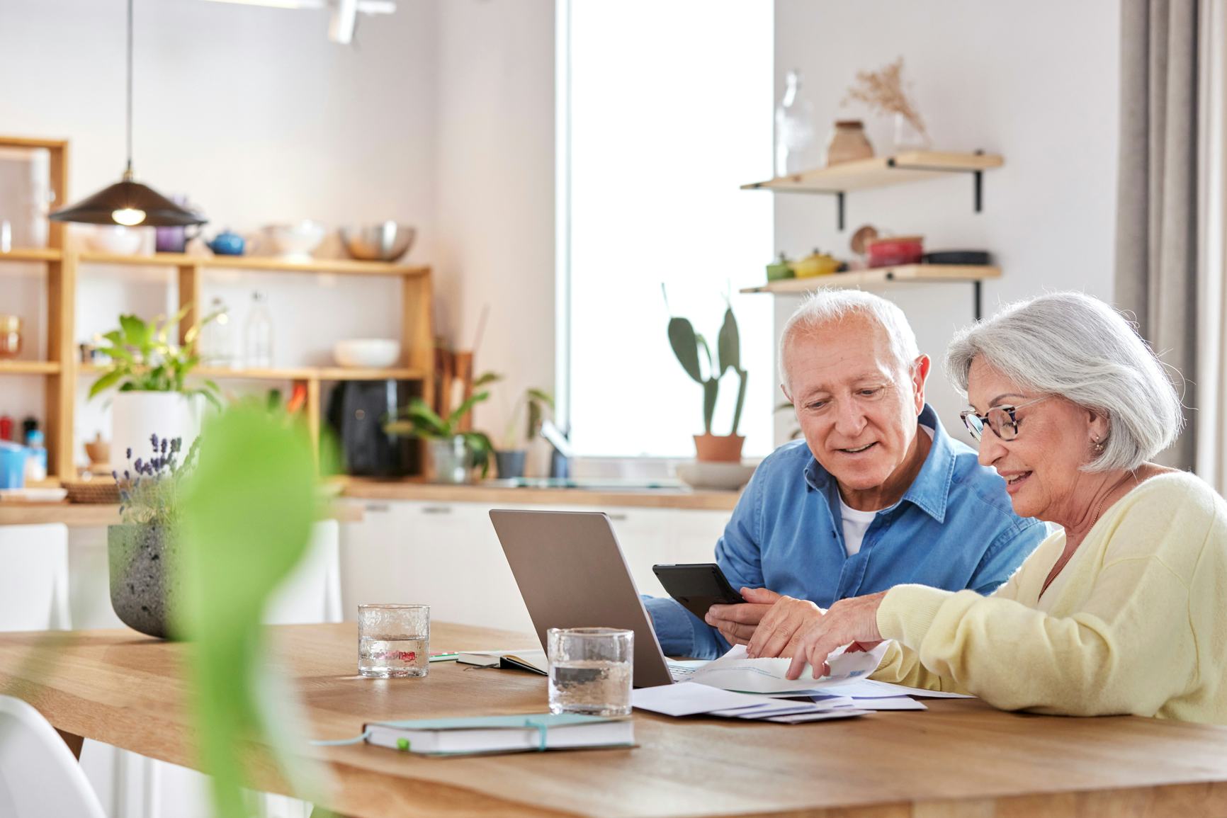 Older couple looking at a laptop