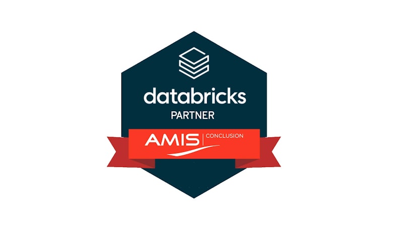 AMIS Databricks partner 