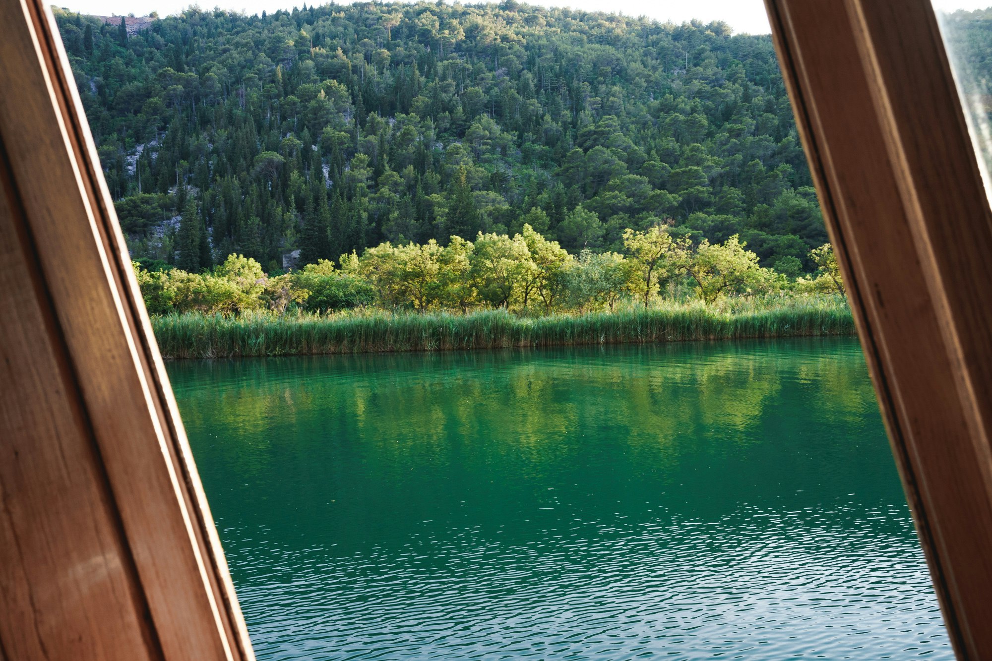 Looking out of the boat over the green surroundings