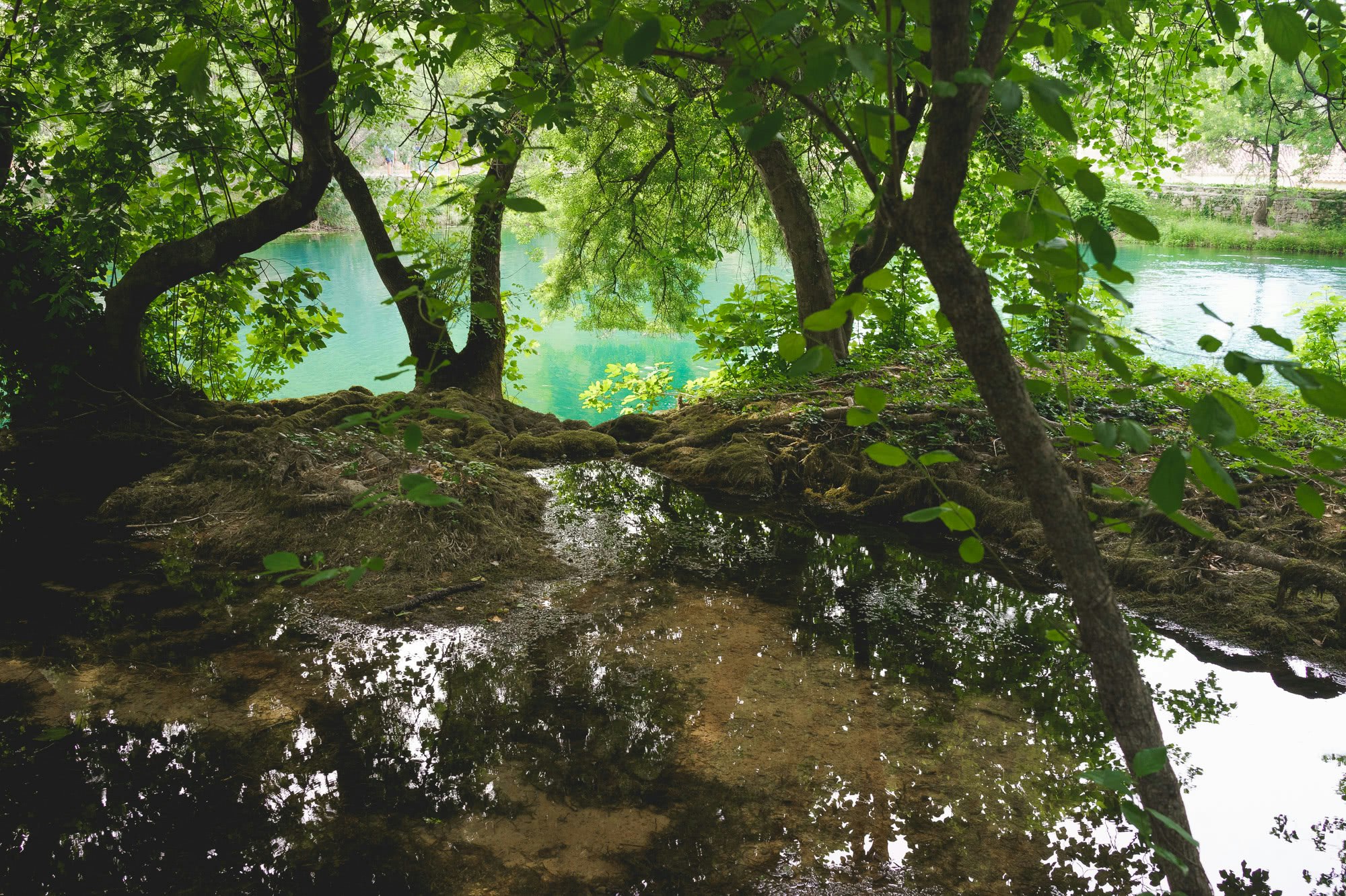 A nice little spot along the water's edge