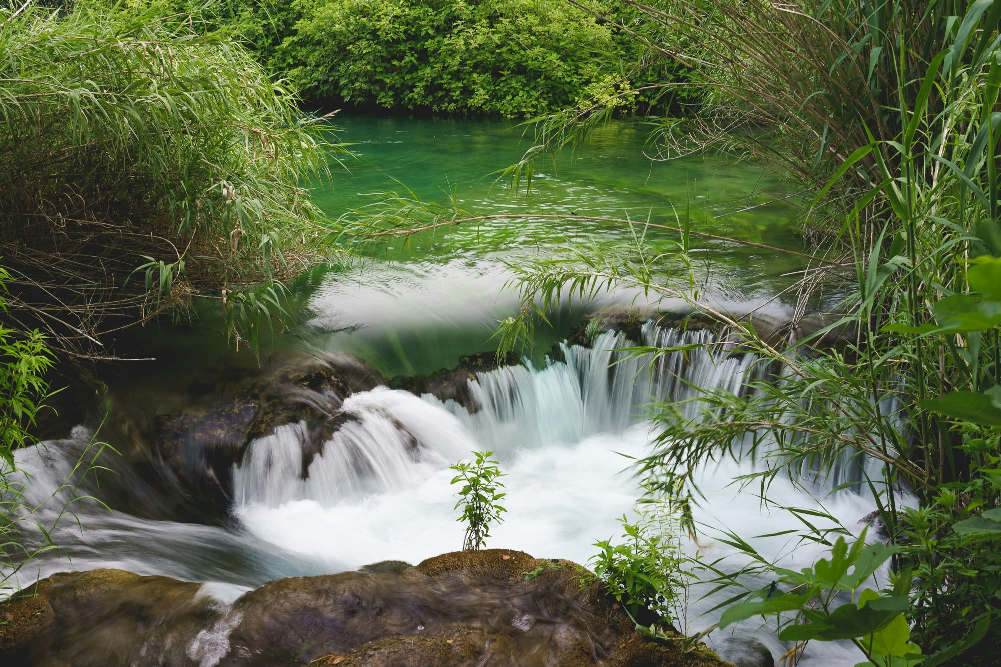 A tiny baby waterfall