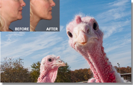 Holcomb - Kreithen Plastic Surgery & Medspa Blog | How to Carve a Turkey (Neck) Without a Knife