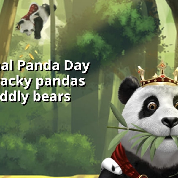 National Panda Day Celebration at Royal Panda Casino