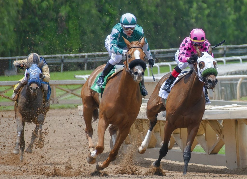 Indian Horse Racing Websites