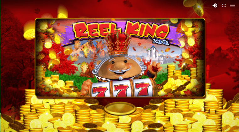 how to play Reel King Mega Slot machine