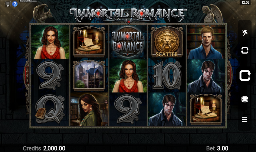 Immortal Romance Slot Playing Grid