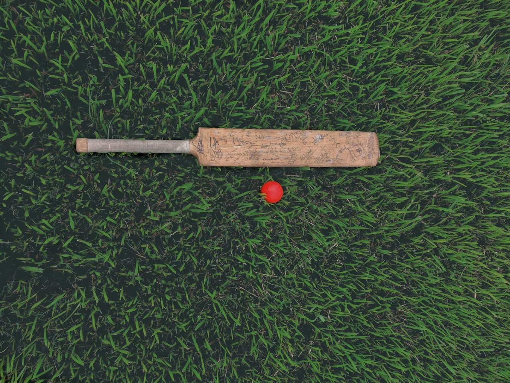 bat and ball on the cricket field