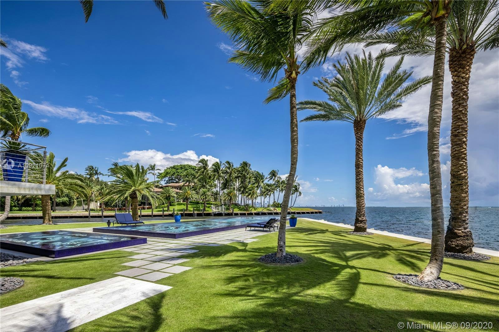 summer grass plant tropical palm tree tree arecaceae