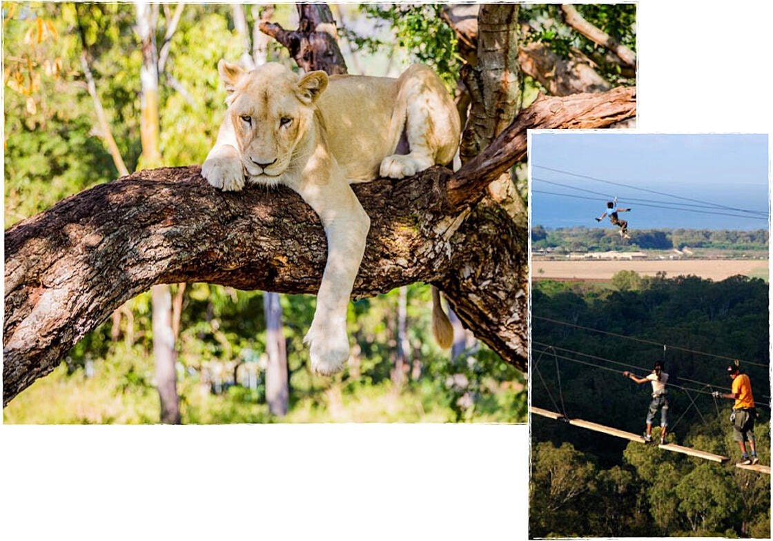 Une excursion au parc naturel de Casela
