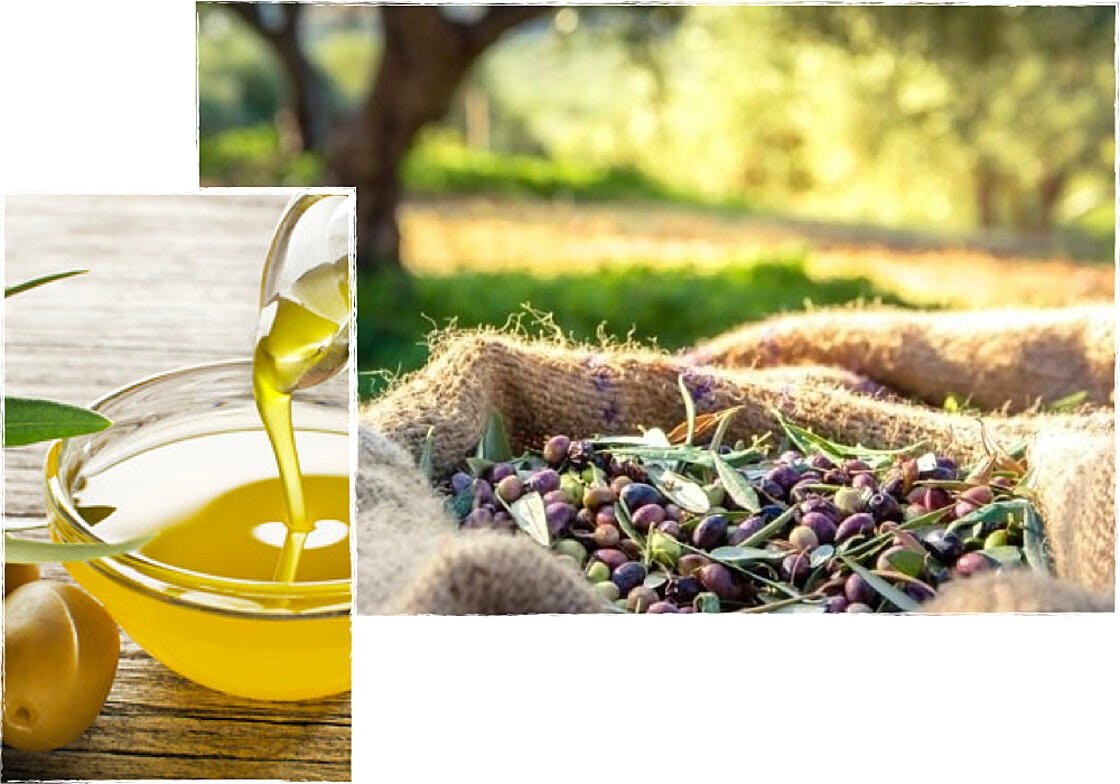 Olive oil tasting at LA Organic
