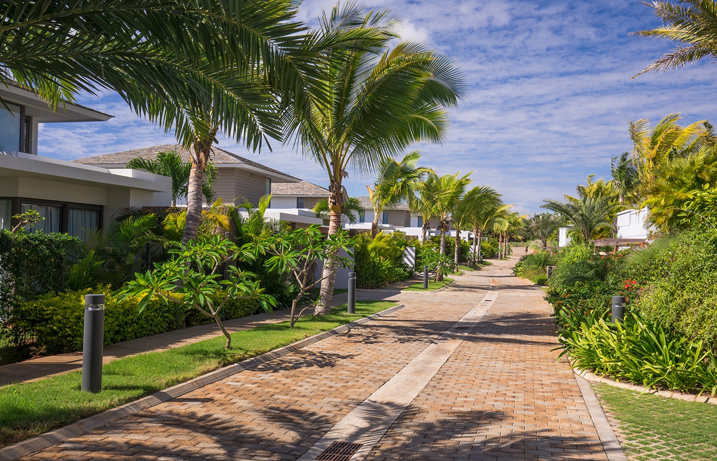 summer arbour garden outdoors