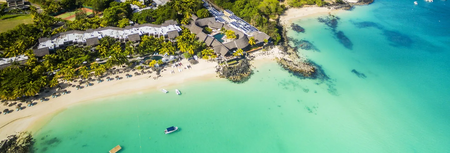 land nature outdoors shoreline water sea coast bird animal beach