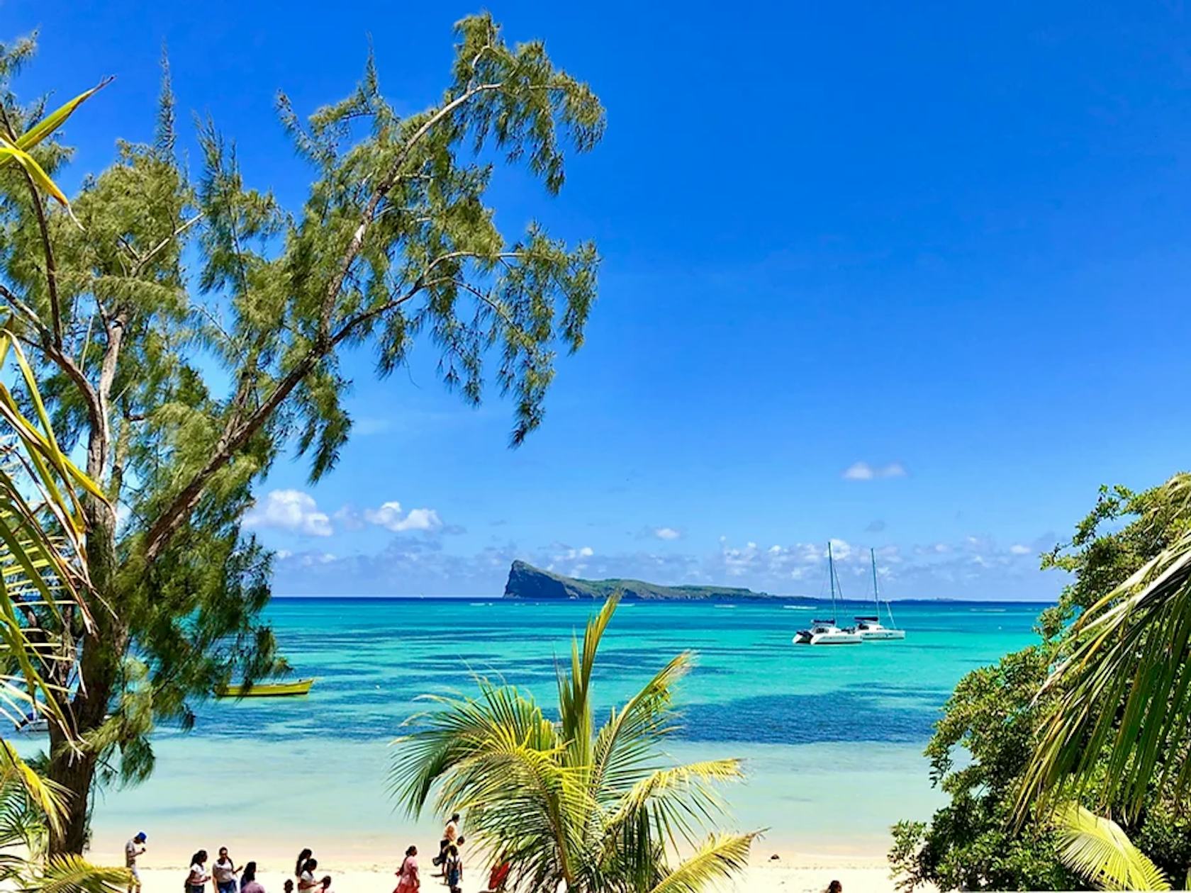 Unveiling Tamarin's Splendor: The Top 5 Activities in Mauritius
