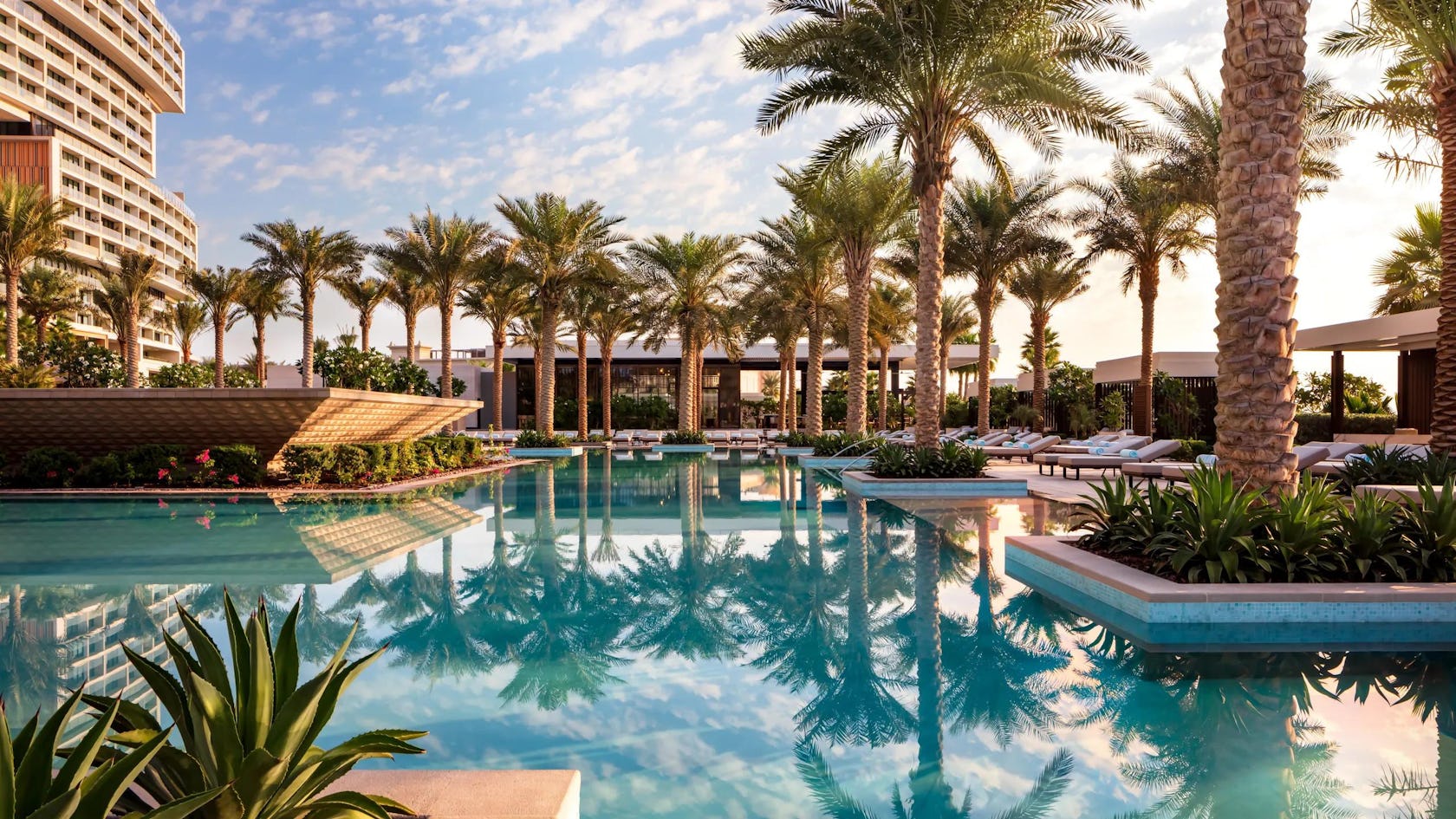 hotel resort summer pool water swimming pool outdoors palm tree tree nature