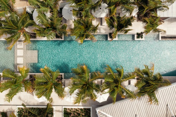 pool water summer swimming pool outdoors aerial view plant tree nature