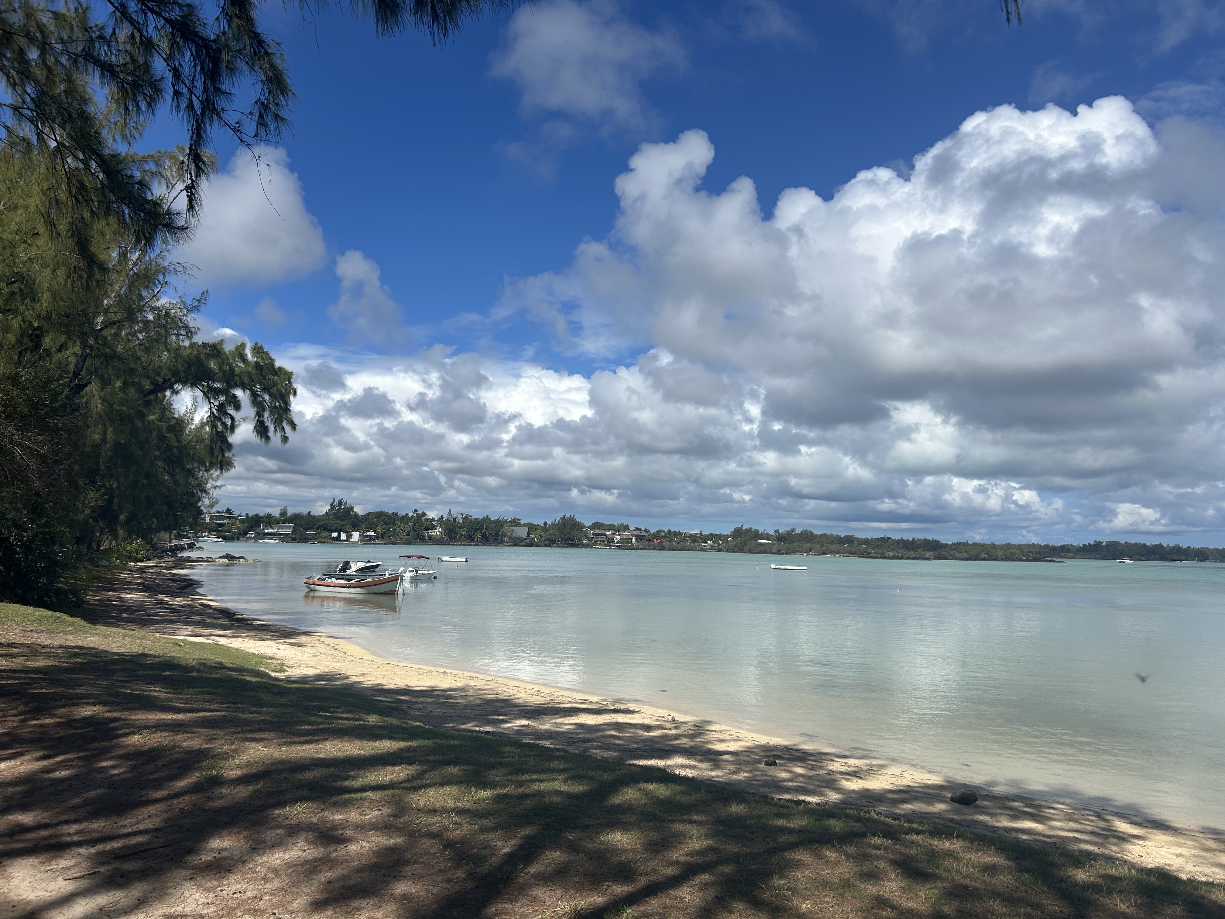 Luxury 2-Bedroom Apartment | Viva Calodyne, Mauritius