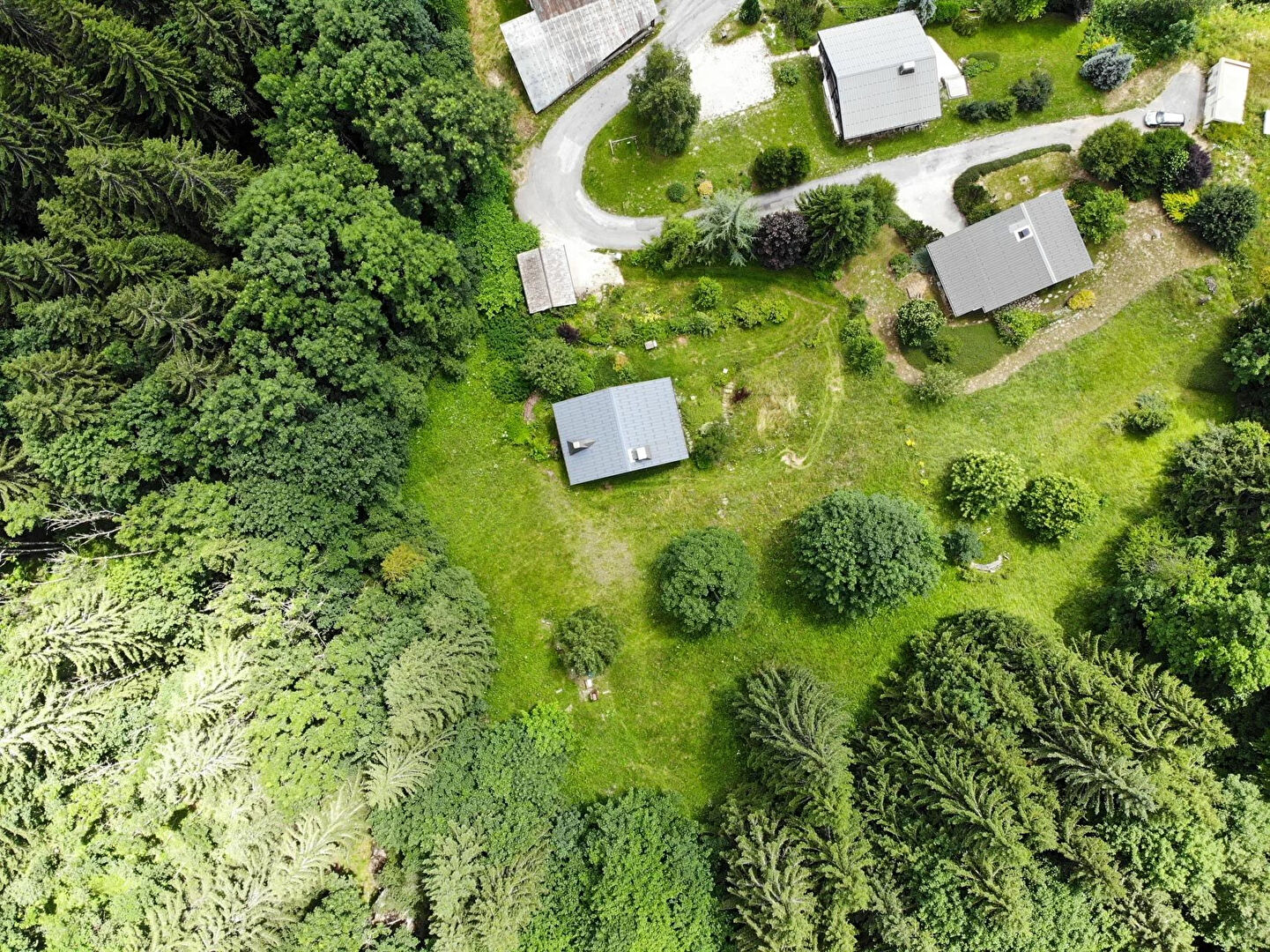Chalet on a 3,443sqm plot - Exceptional setting for sale in Les Gets
